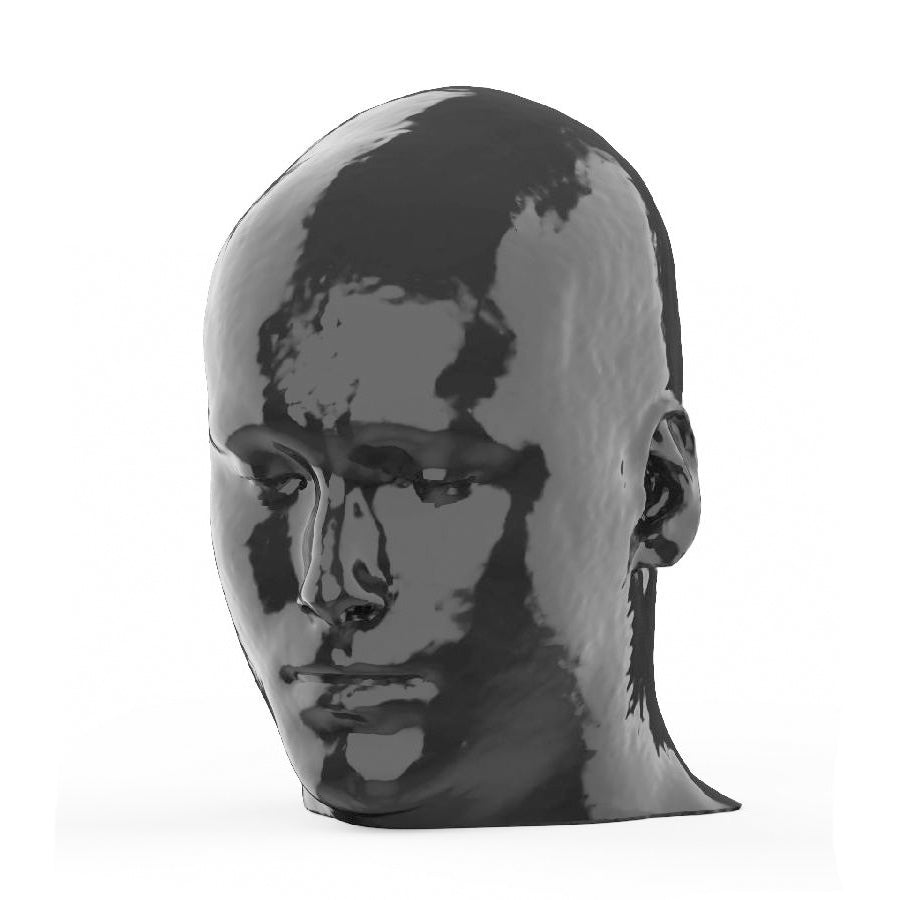 Head and Neck CTA Phantom AVM for CT Scan & X-Ray Training - Medical Imaging Practice, Radiology Education, and Diagnostic Testing