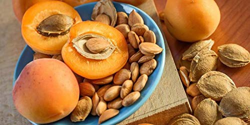 Organic California Grown Bitter Apricot Seeds - Raw, All Natural, Non-GMO - 1 LB Pack for Baking, Snacking & Healthy Recipes