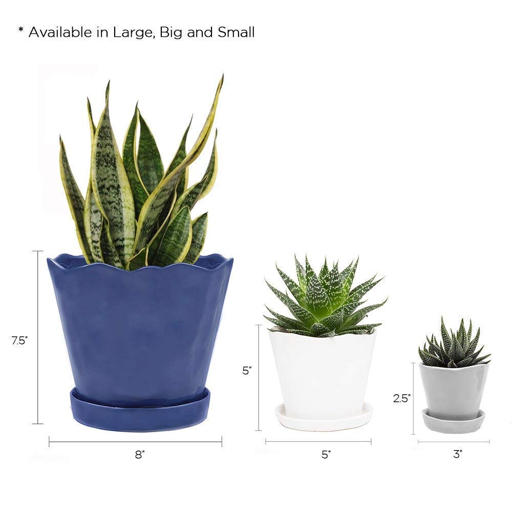 CHIVE ‘Tika’ 5 Inch Large Succulent Planter Pot - Modern Grey Indoor Plant Container for Home & Kitchen Decor - Perfect for Windowsills, Office Desks, and Gift Giving