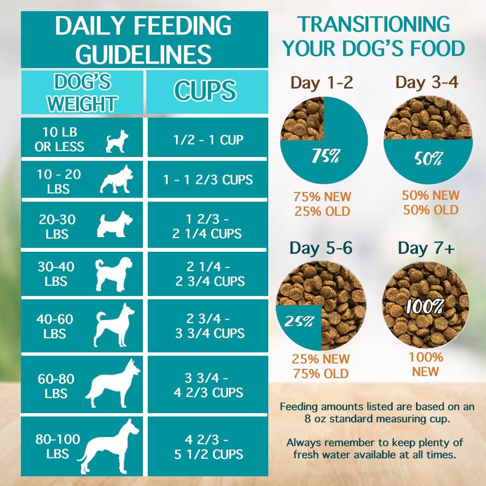 Chicken Soup for the Soul Classic Dry Adult Dog Food - Beef & Brown Rice Recipe, 28lb Bag | Soy Free, Corn Free, Wheat Free, Natural Ingredients | Premium Kibble for Large & Medium Breed Dogs, Ideal for Daily Meals & Training Treats