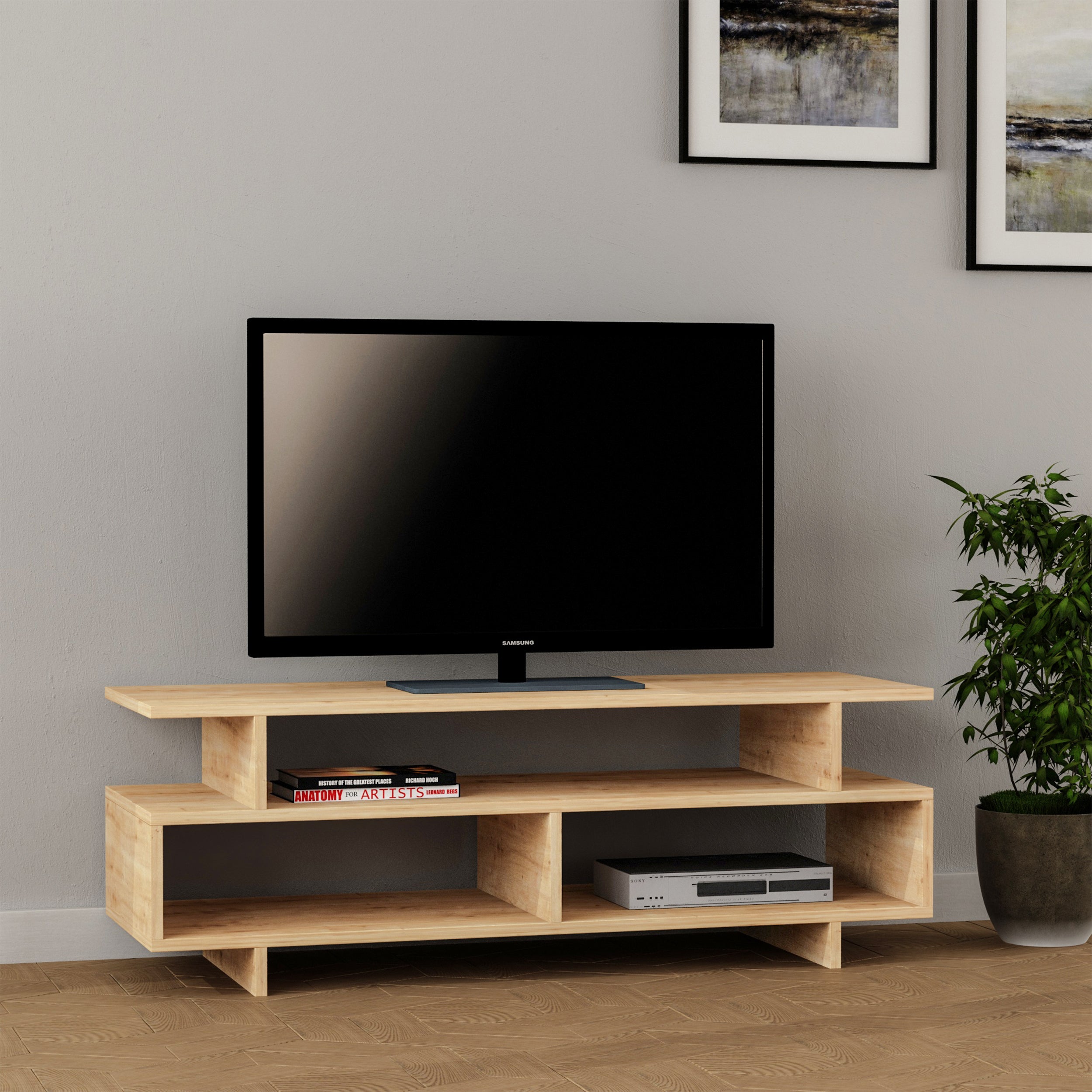 Nordica TV Stand for Living Room - Modern Entertainment Center with Storage Shelves for TV, Gaming Console & Media Devices | Perfect for Home Theater Setup & Living Room Decor
