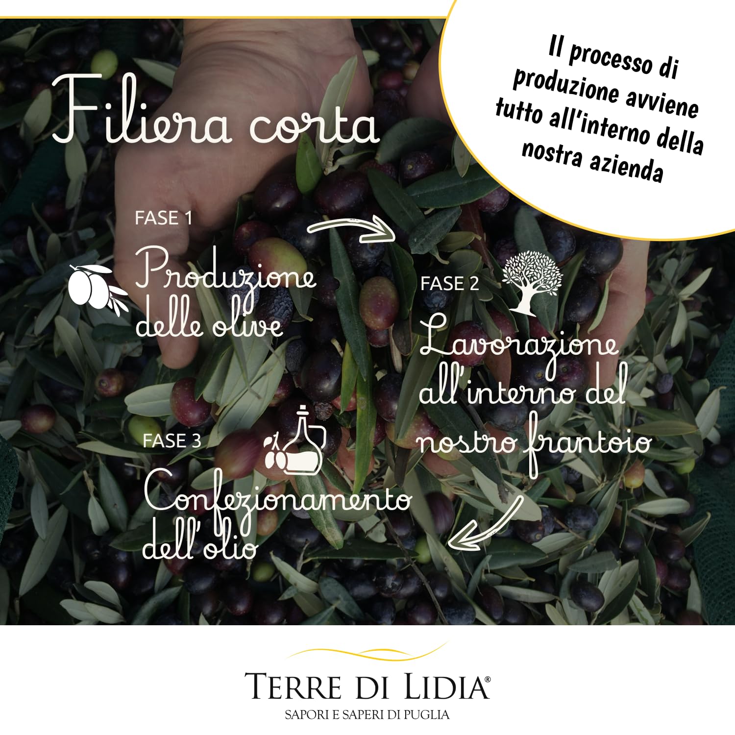 Premium Extra Virgin Olive Oil - Terre di Lidia 20L Gift Set (2x5L Coratina Intense + 2x5L Ogliarola Delicate) - 100% Italian Cold Pressed EVOO - Short Supply Chain - Perfect for Cooking, Salads & Gourmet Gifts