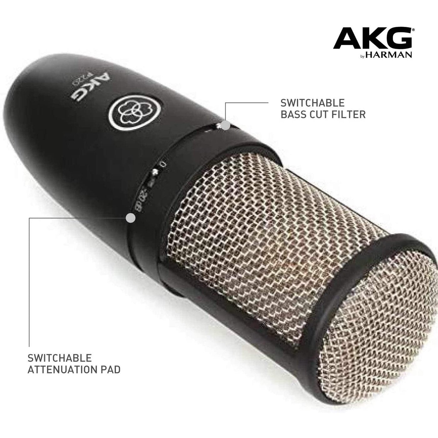 AKG P220 Professional Vocal Condenser Microphone for Studio Recording, Podcasting & Live Performance - Premium Cardioid Mic (Model 3101H00420) - Perfect for Home Studios, Voice Overs & Music Production
