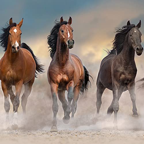 Wild Horses