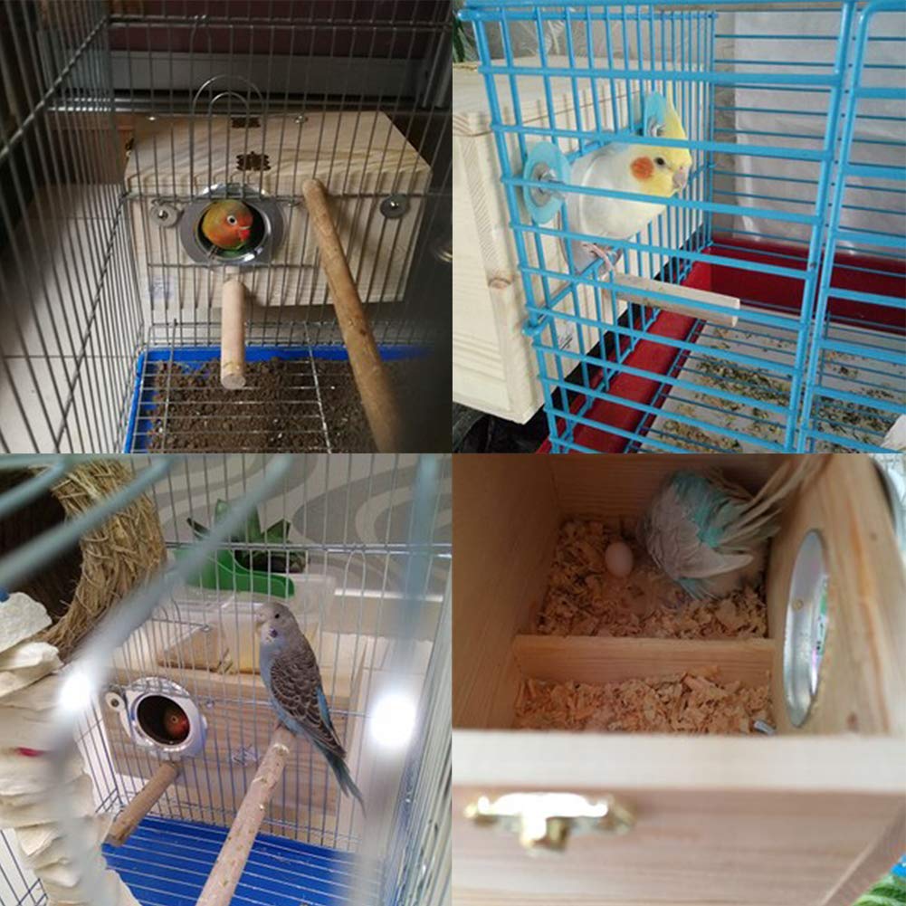 Premium Pine Wood Parakeet Nest Box - XL Size Bird House for Budgies, Lovebirds, Cockatiels & Parrotlets | Safe Breeding & Mating Shelter | Perfect for Aviaries, Bird Cages & Outdoor Use