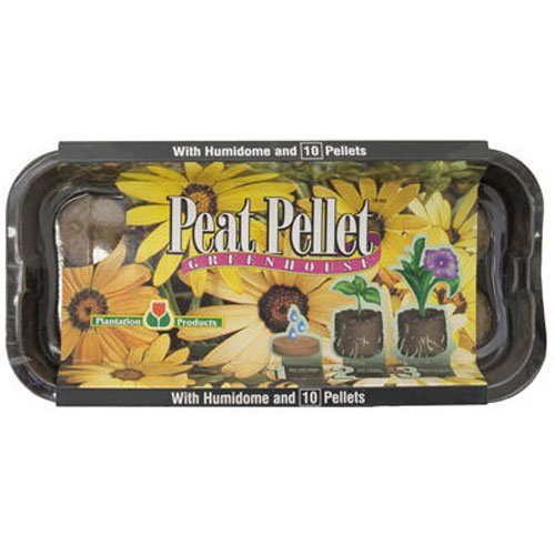 Allway Tools P707 4x8 Greenhouse for Gardening