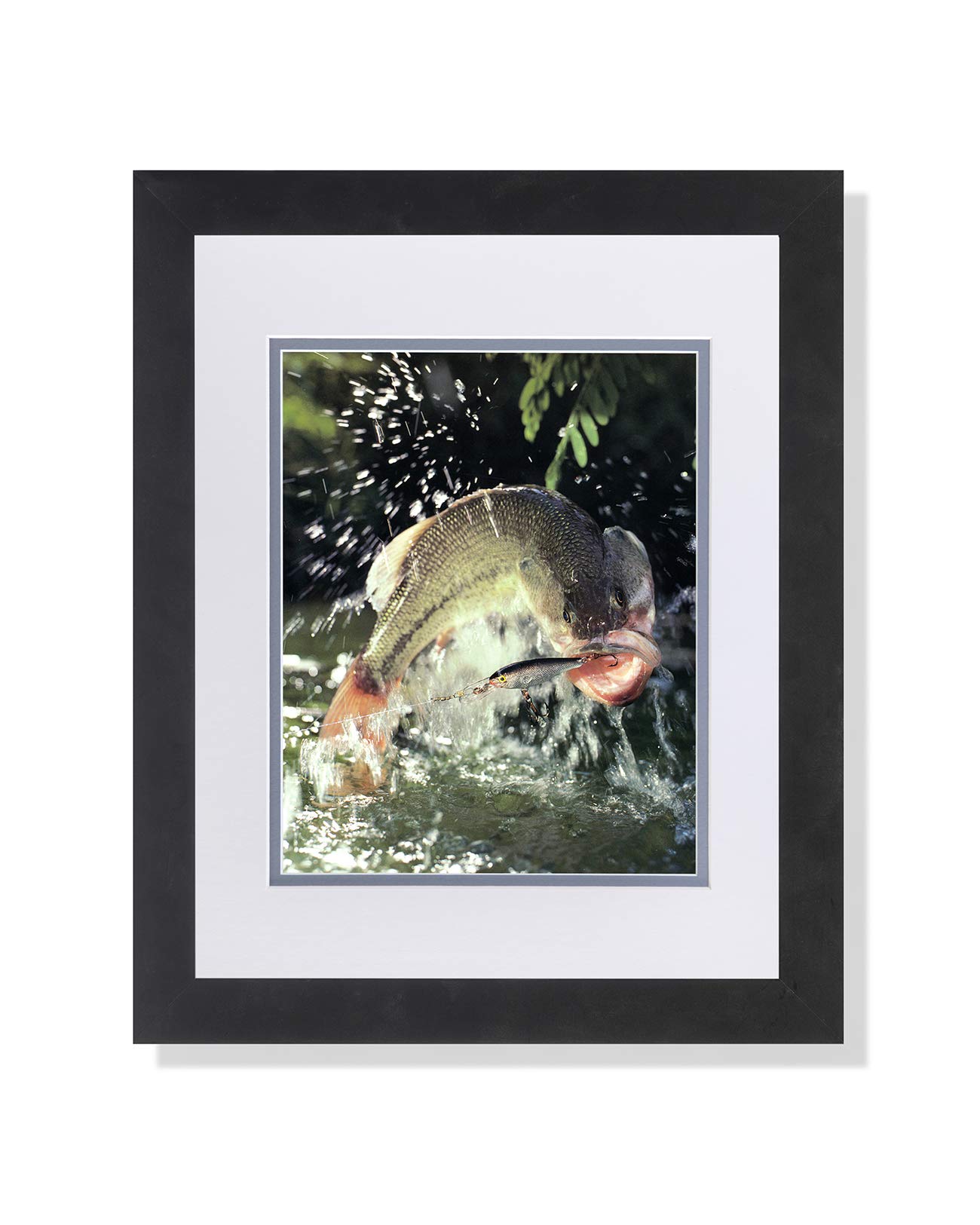 Premium Large Mouth Bass Fishing Lure Wall Art - Framed & Matted Photo Print for Angler Home Decor | Perfect for Game Rooms, Offices & Cabin Decor