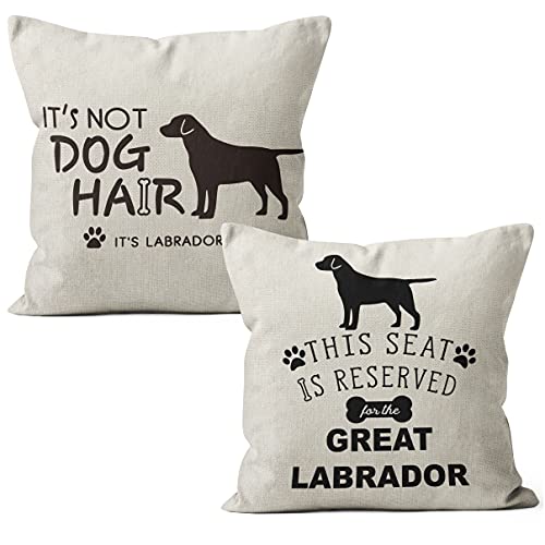 Labrador Set 2