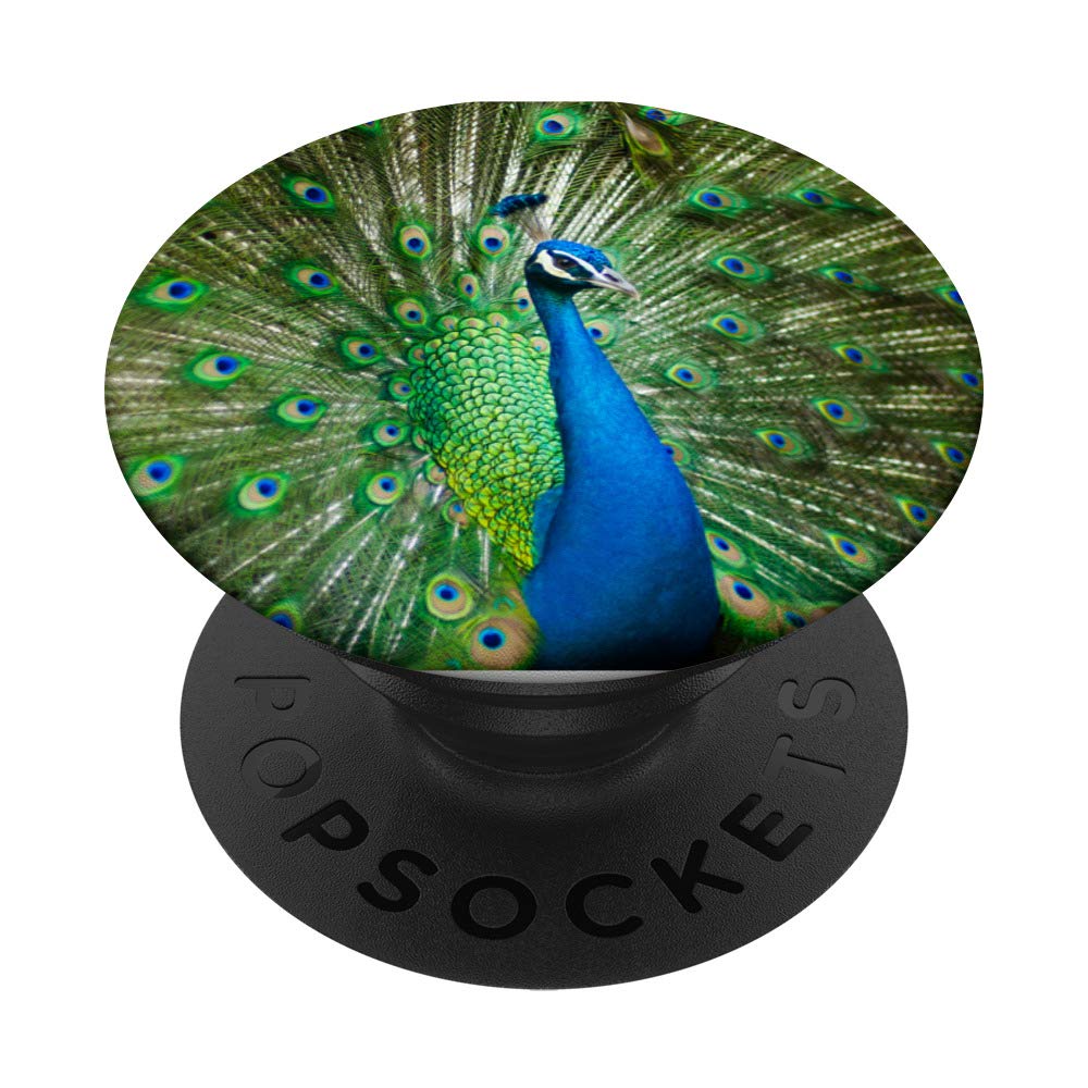 Stylish Peacock & Flamingo Collapsible PopSockets with Swappable PopGrip - Phone Stand & Grip for iPhone, Samsung - Perfect for Selfies, Gaming, and Daily Use