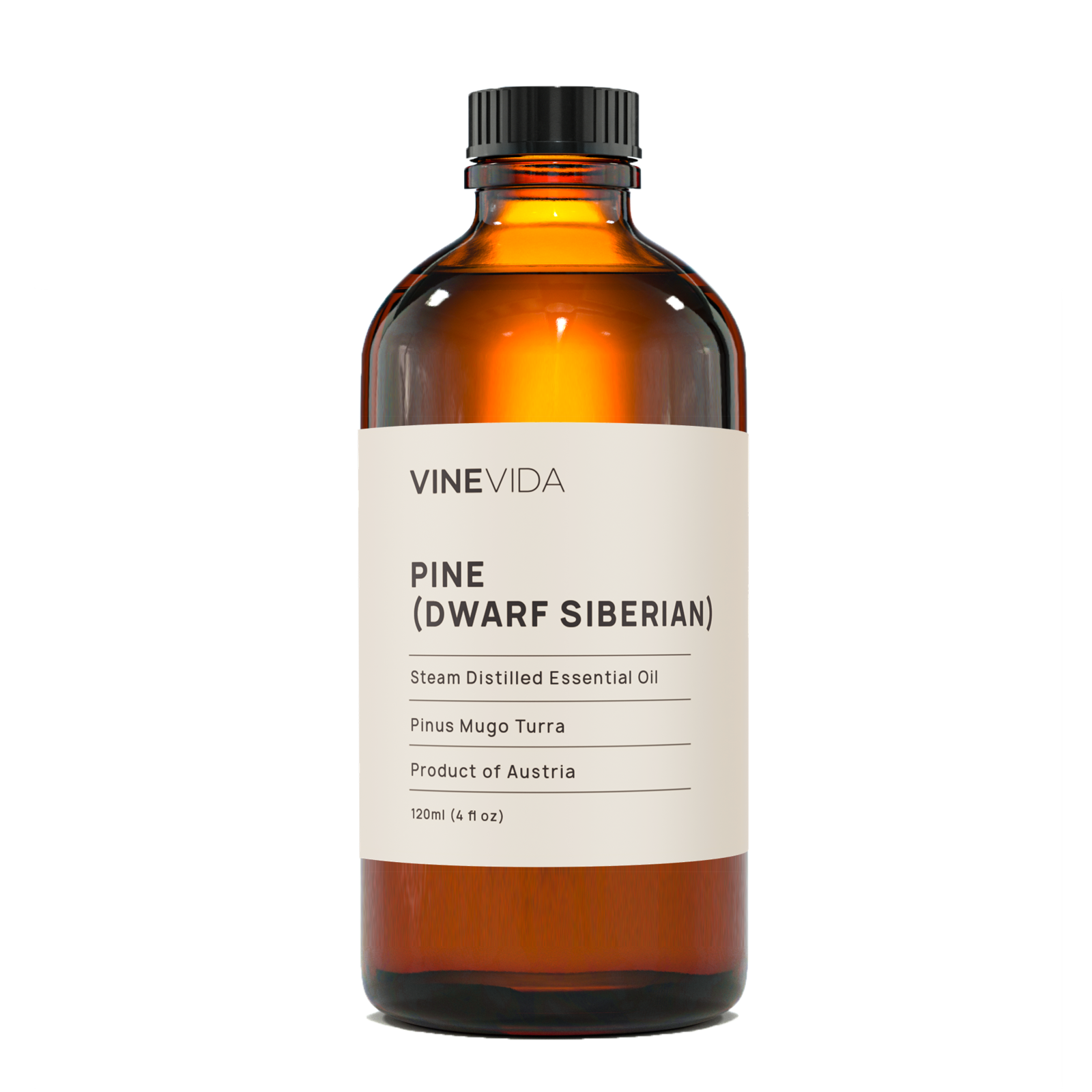 Premium Dwarf Siberian Pine Essential Oil - 100% Pure & Natural for Aromatherapy, Relaxation & Skin Care - Perfect for Diffusers, Massage & DIY Beauty Products