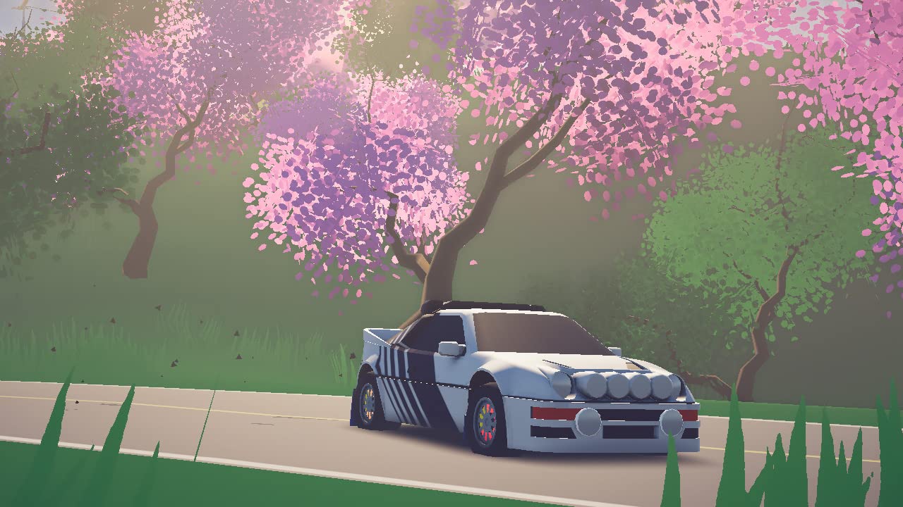 Art of Rally - Nintendo Switch Racing Game - Experience Thrilling Drift & Rally Racing for Solo or Multiplayer Fun at Home or On-the-Go