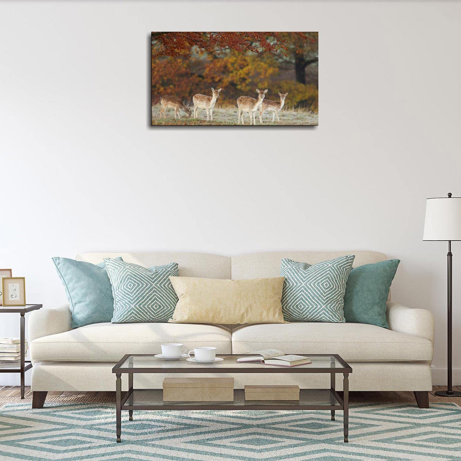 Deer Prints Canvas Wall Art - Sika Deer Photography Poster 36