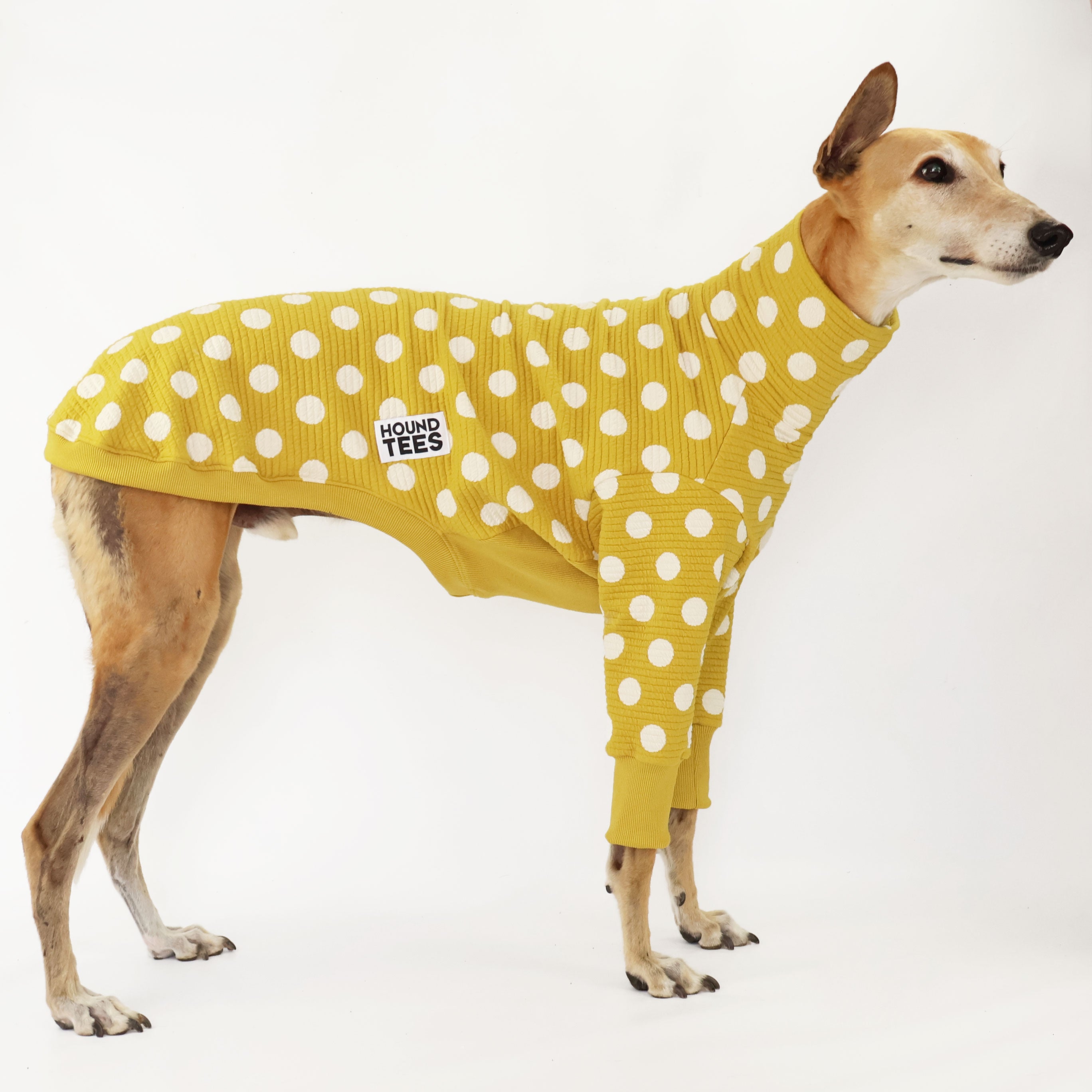 Honeybug Greyhound Quilted Sweater for Dogs - Warm Winter Dog Clothes, Cozy Pet Apparel - Perfect for Cold Weather, Outdoor Walks, and Indoor Comfort