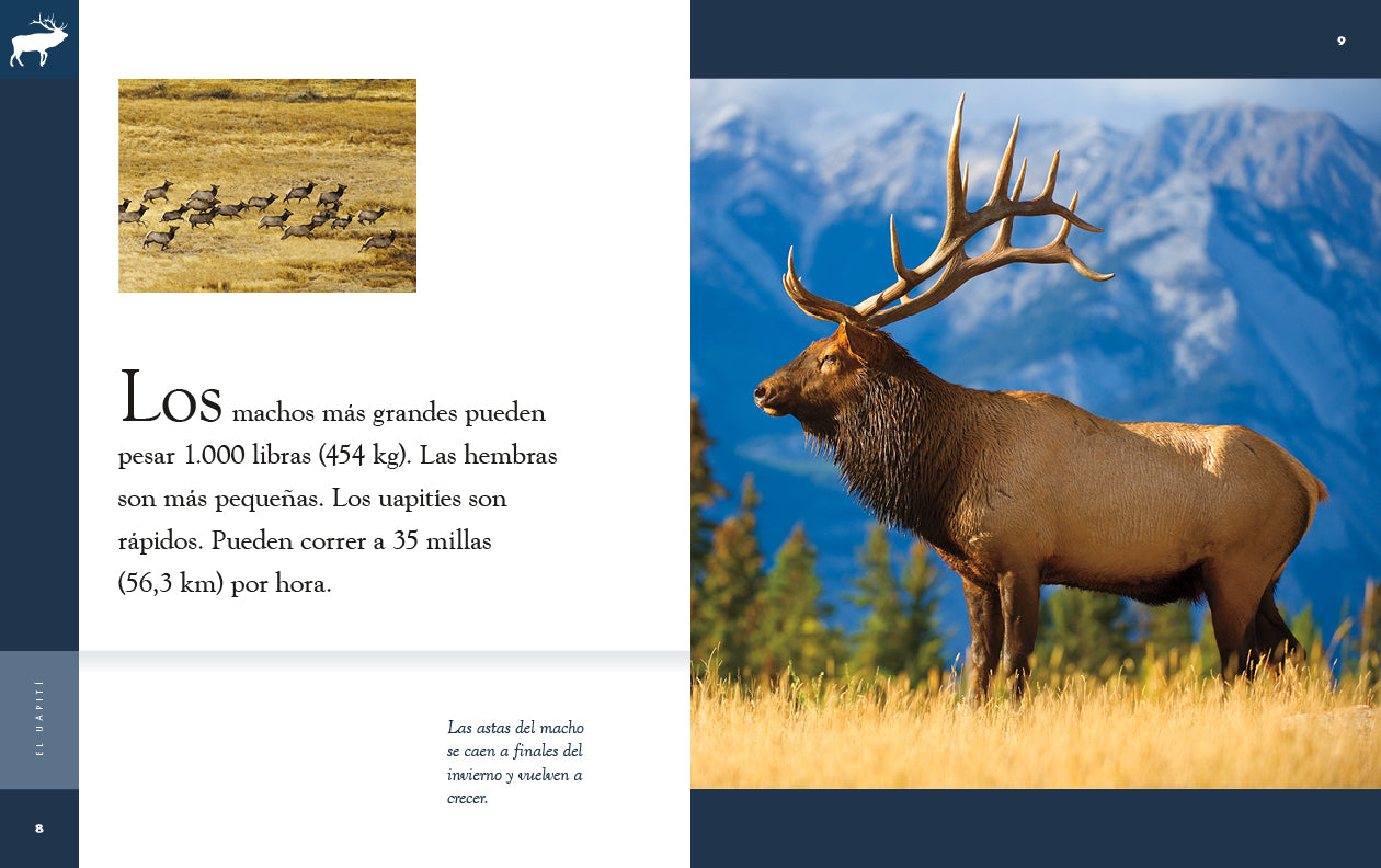 El Uapiti 9781640265875 - Wildlife Animal Book for Kids & Adults - Perfect for Nature Lovers, Classroom Learning, and Wildlife Enthusiasts