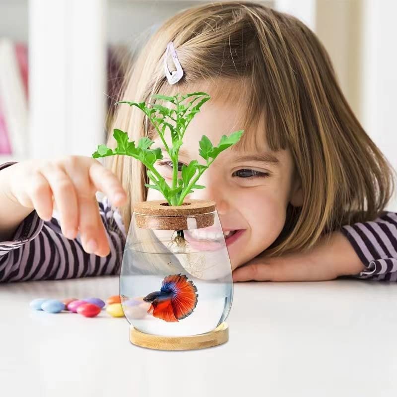 Clear Glass Desktop Fish Bowl with Wood Lid & Bamboo Stand - Small Betta Fish Tank for Plants, Terrarium - Perfect Home Office Decoration & Unique Gift Idea for Aquarium Lovers (Ideal for Desk Decor, Zen Spaces & Small Pet Habitats)