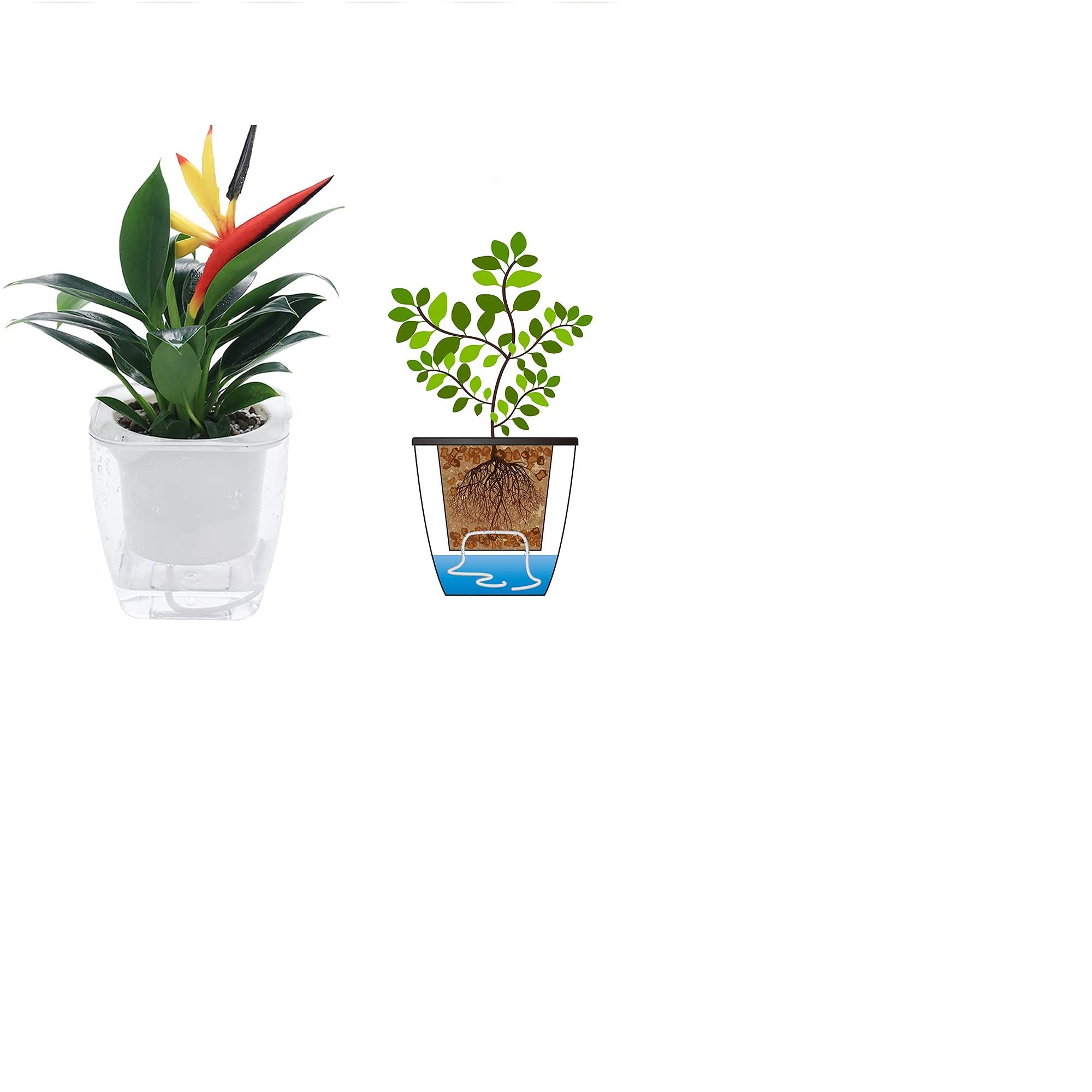 6 Sets Self-Watering Planters - Modern Nested Flower Pots for African Violets, Spider Plants, Orchids, Herbs & Succulents (White, 4