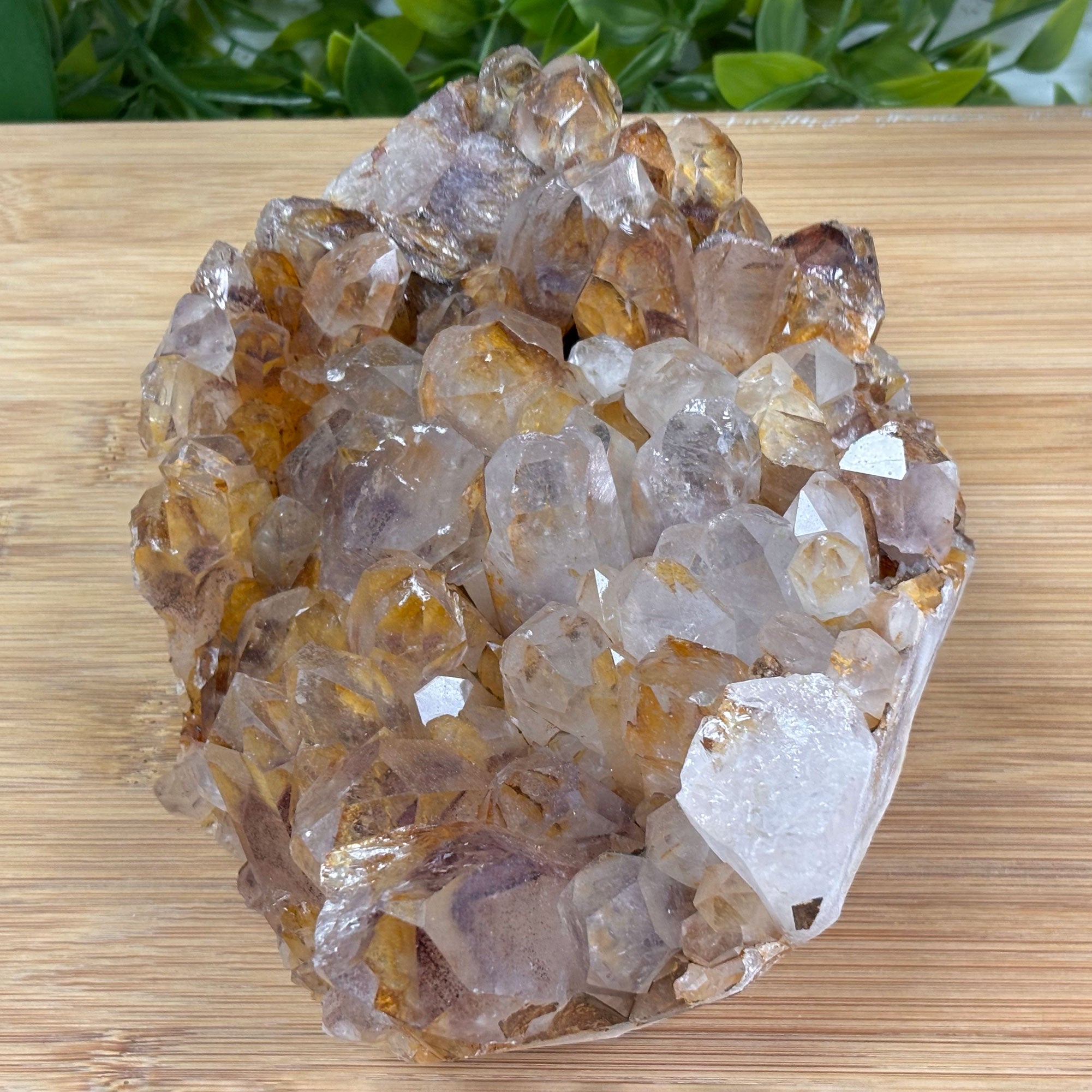 Natural Phantom Quartz Crystal Mineral Specimen - Rare Raw Gemstone with Visible Inclusions for Collectors | Healing Crystal for Meditation & Energy Work | Unique Home Decor & Display Piece for Spiritual Spaces