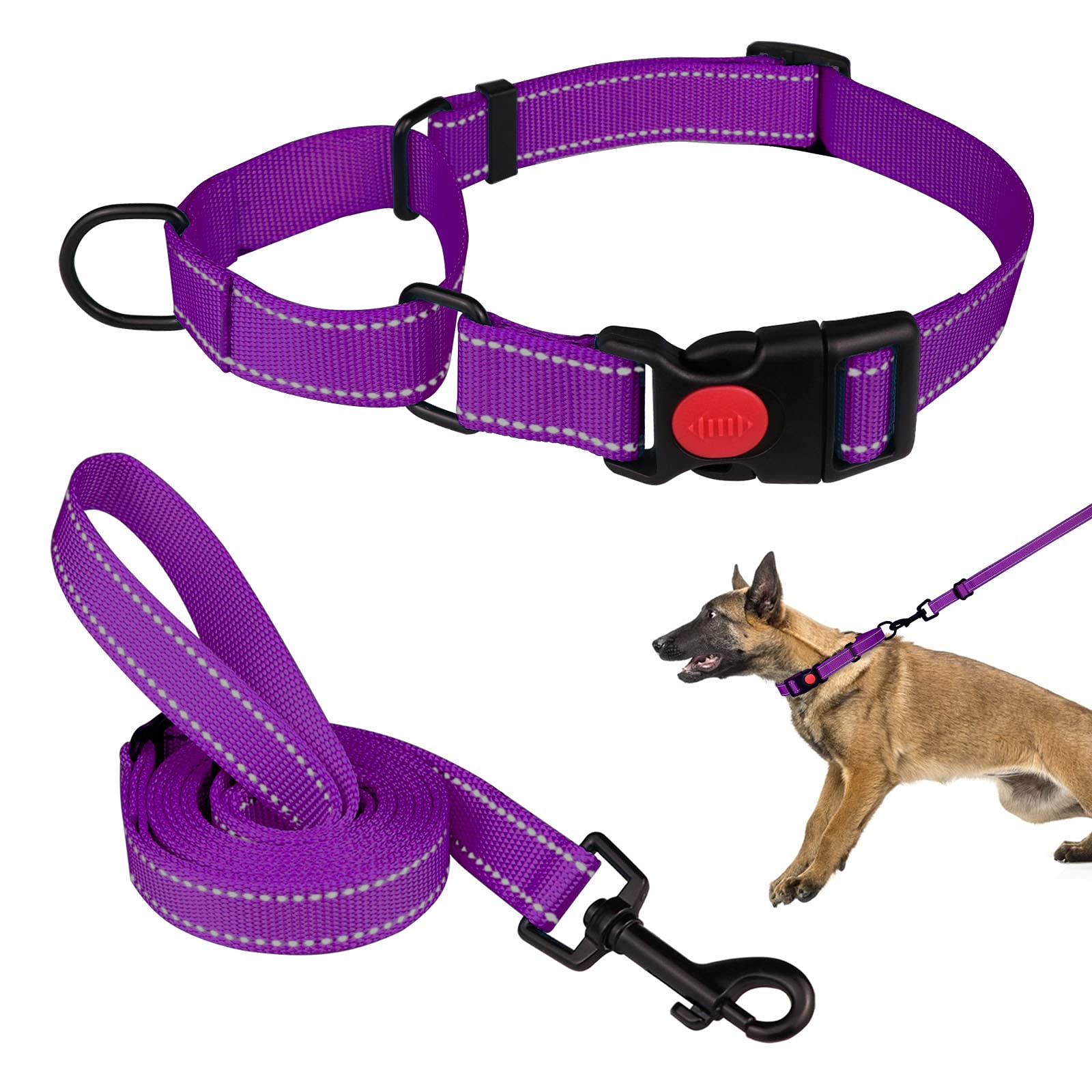 Martingale Dog Collar and Leash Set - Reflective Adjustable Training Collar for Small, Medium & Large Dogs (Purple, Large) - Perfect for Walking, Training & Nighttime Safety