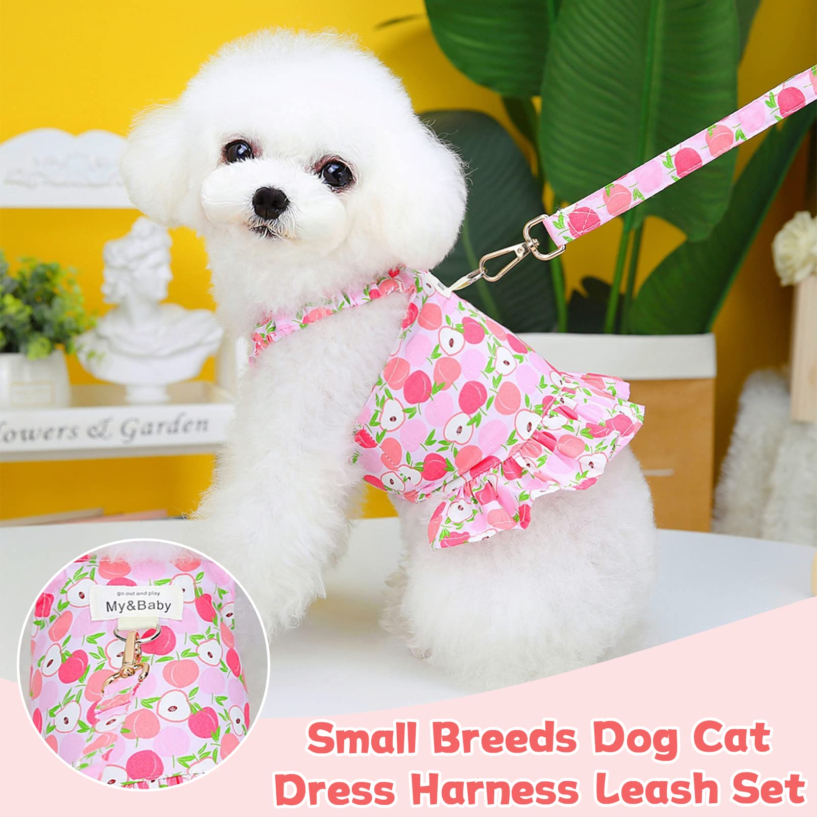 Small Dog Dress Harness & Leash Set - Cute Princess Birthday Outfit, Soft Fruit Print Puppy Dress for Small Dogs & Cats (Pink Apple, XL) | Perfect for Chihuahua, Yorkie, Shih Tzu | Great for Birthday Parties, Photo Shoots & Daily Walks
