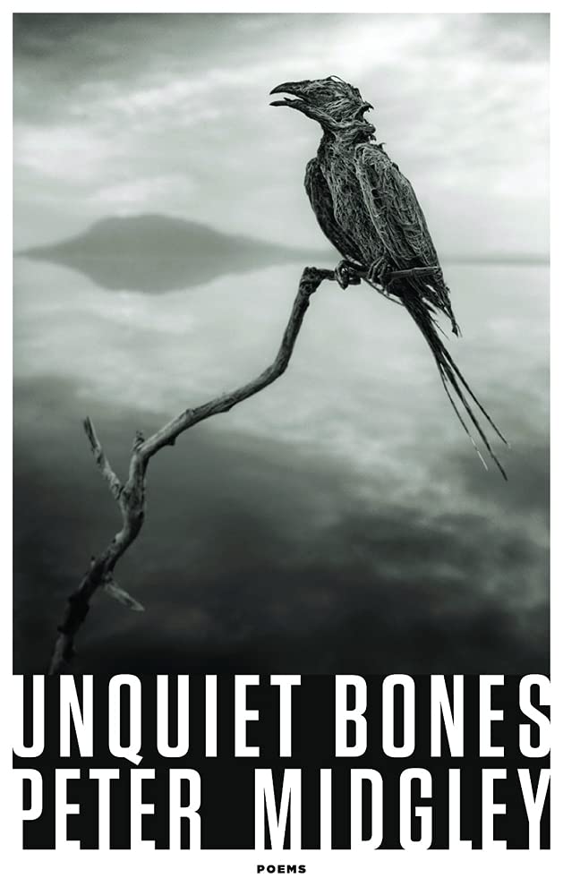 Unquiet Bones - Mystery Thriller Novel | Suspenseful Crime Fiction Book for Adults | Perfect for Book Clubs & Late-Night Reading