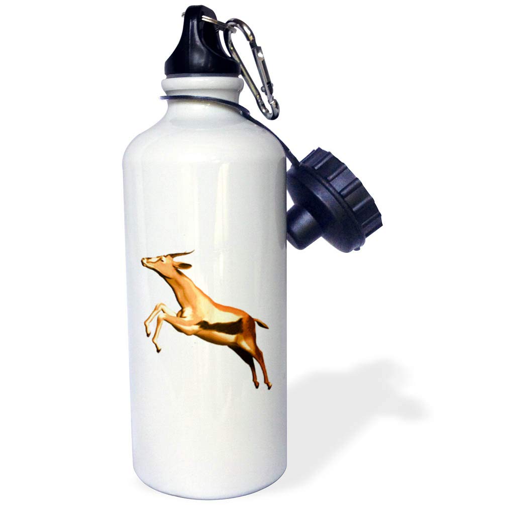 3dRose Leaping Thomsons Gazelle 21oz Sports Water Bottle - BPA Free, Insulated Stainless Steel, Leak Proof - Perfect for Gym, Hiking & Outdoor Activities