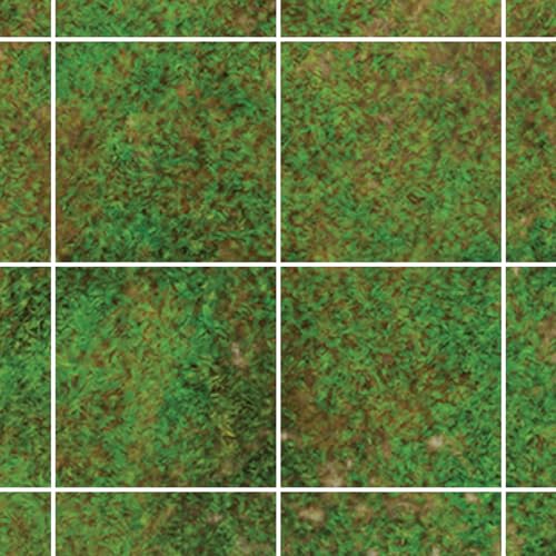 Grasslands+grids