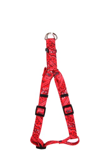 Bandana Red