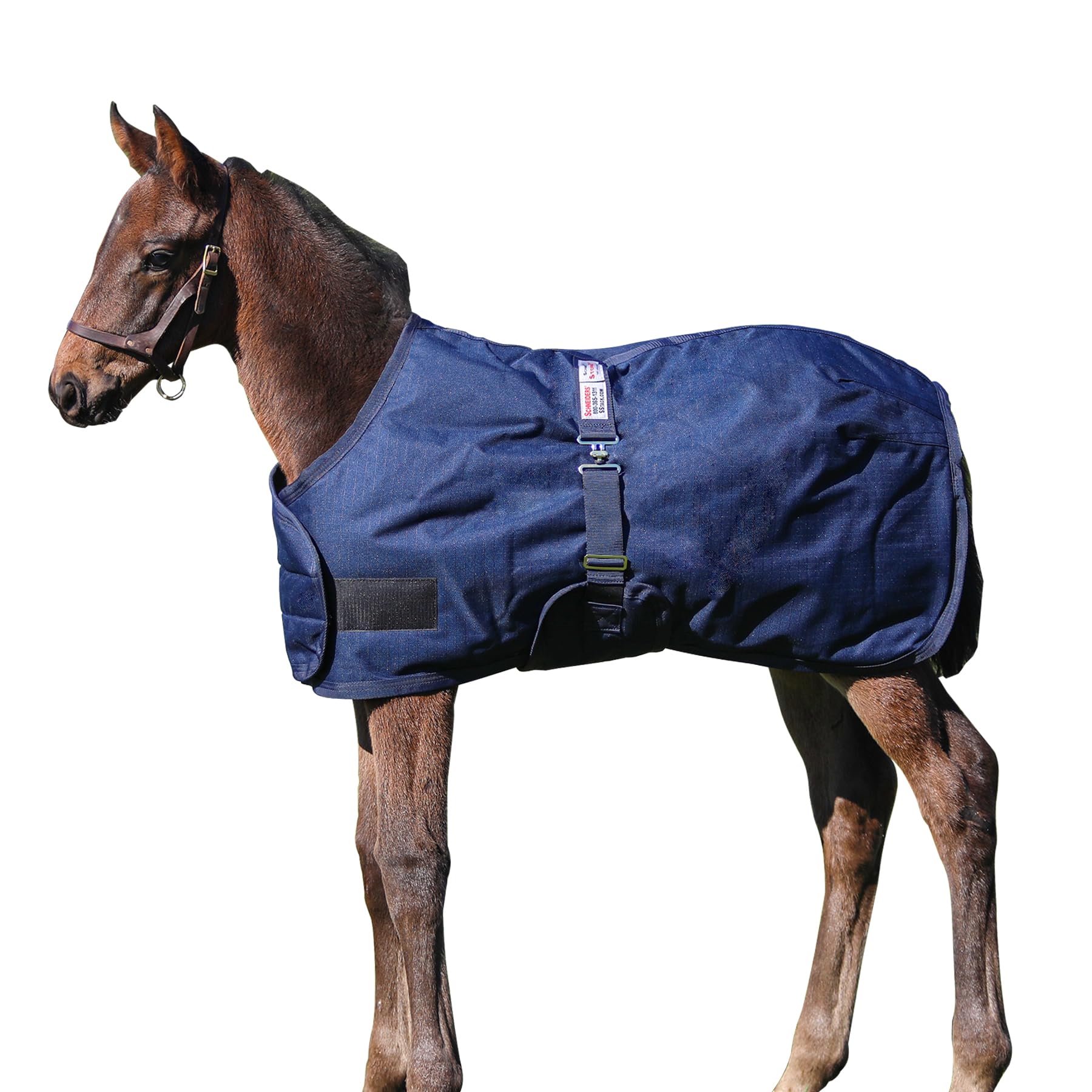 Waterproof Euro Fit Bellyband Foal Horse Turnout Blanket - Mini Horse Winter Blanket for Foals & Ponies | Ideal for Cold Weather, Rain Protection & Stable Use