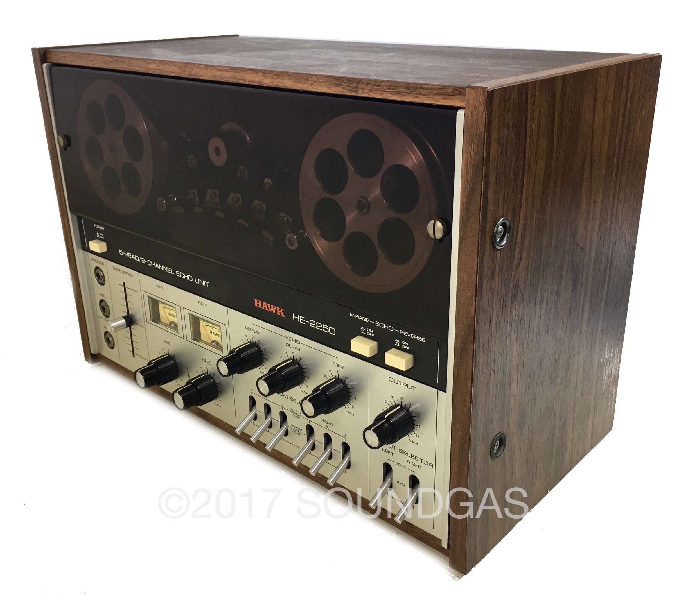 Hawk HE 2250 Professional 5-Head 2-Channel Echo Unit - Perfect for Karaoke, Live Performances & Studio Recordings