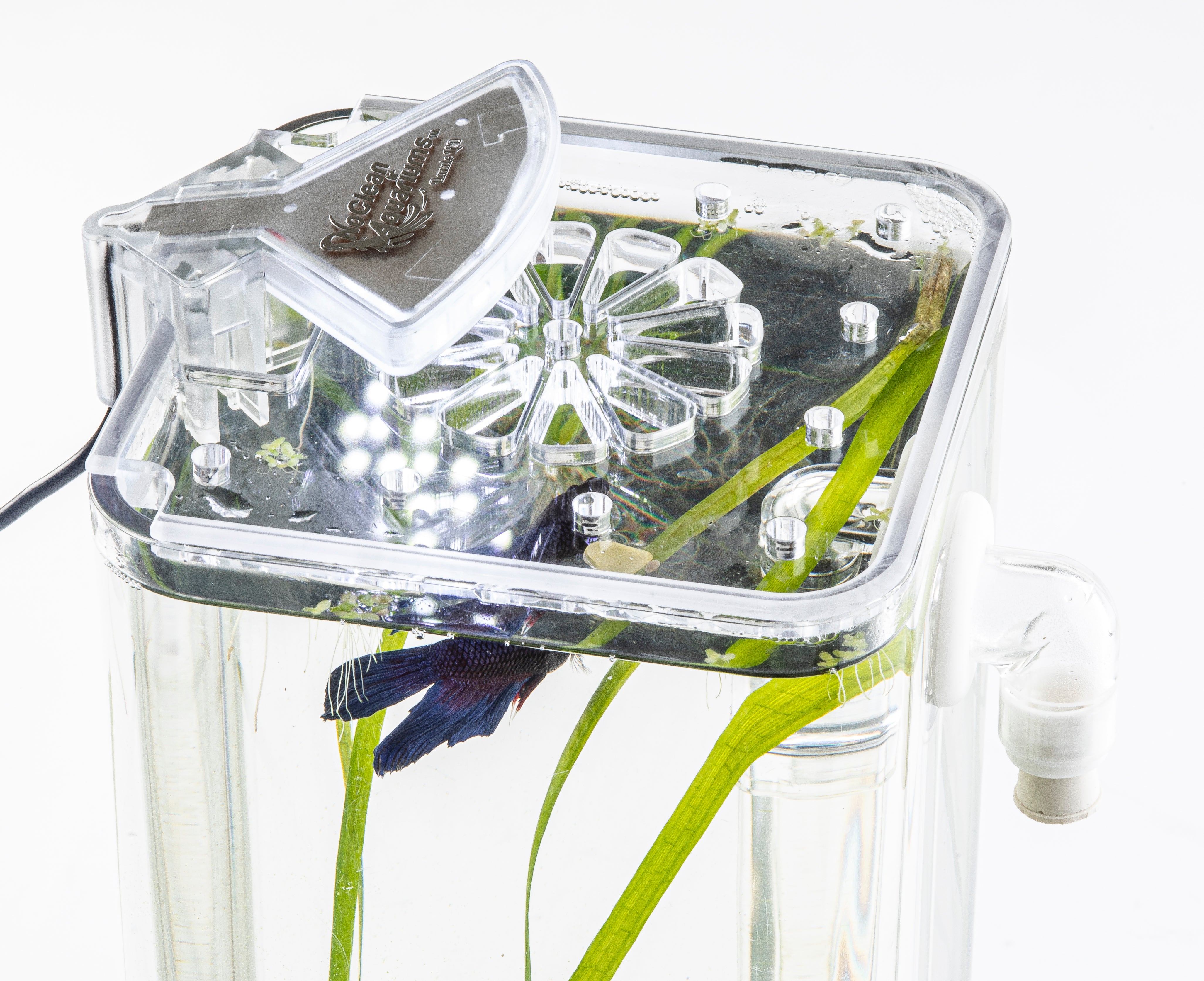 1 Gallon Aquarium Accessory Kit - Includes LED Light, Heater & Lid | Complete Setup for Small Fish Tanks | Perfect for Betta Fish, Shrimp or Aquatic Plants