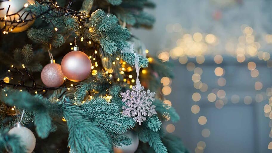 50 Count Outdoor Christmas Lights - 25 ft Commercial Grade Heavy Duty Green Wire with Warm White LED Bulbs (6-inch Spacing) - Perfect for Indoor/Outdoor Holiday Decorations, House Roof, Garden, Tree & Yard Lighting