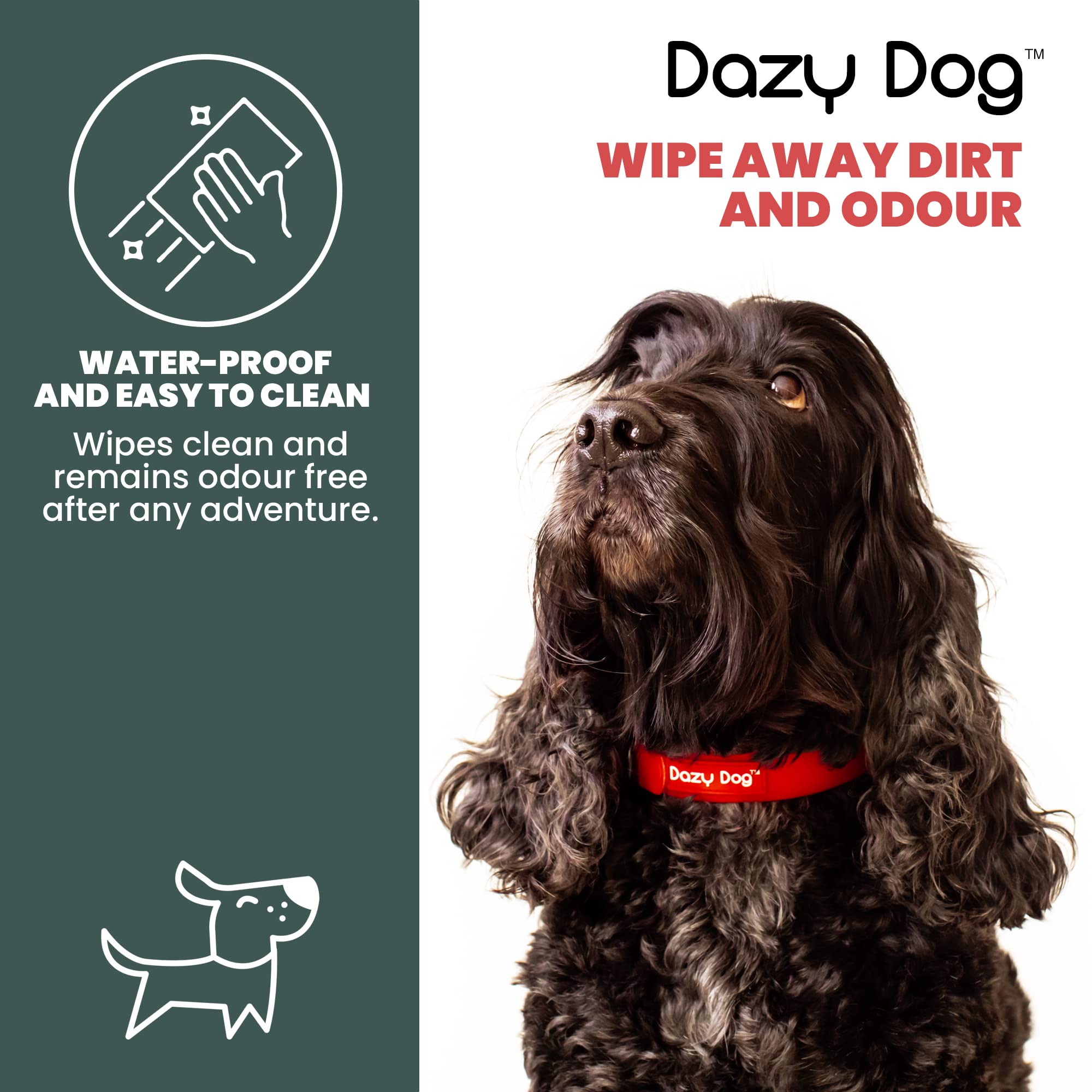 Dazy Dog Waterproof Durable Dog Collar - Odor Resistant & Easy Clean TPU Pet Collar for Small Medium Large Dogs - Stronger Than Biothane Silicone Rubber - Perfect for Swimming Hiking Training (Medium, Red)