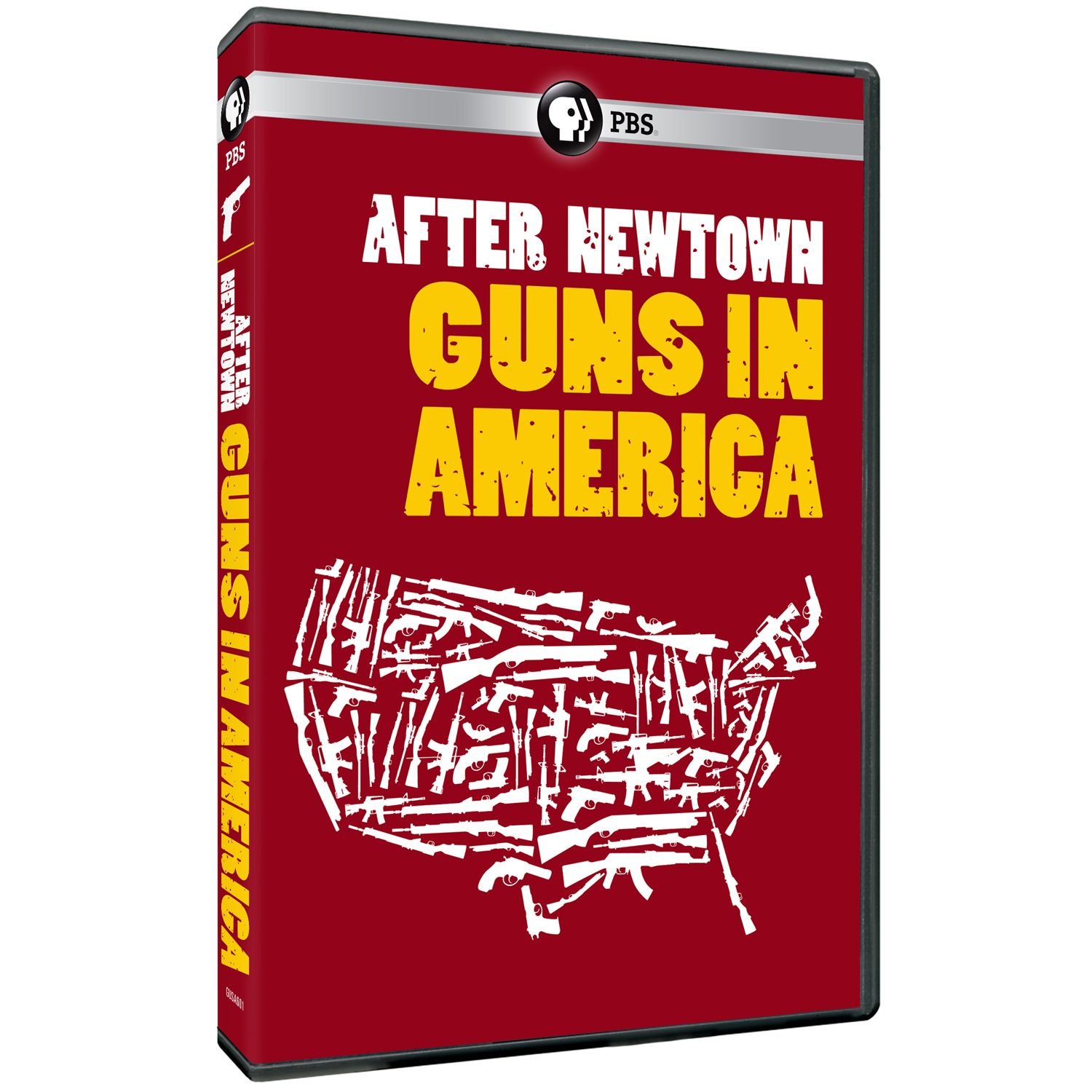 After Newtown: Guns in America - Documentary on US Gun Control Debate & School Shooting Prevention | Perfect for Political Science Students, Educators & Gun Policy Researchers