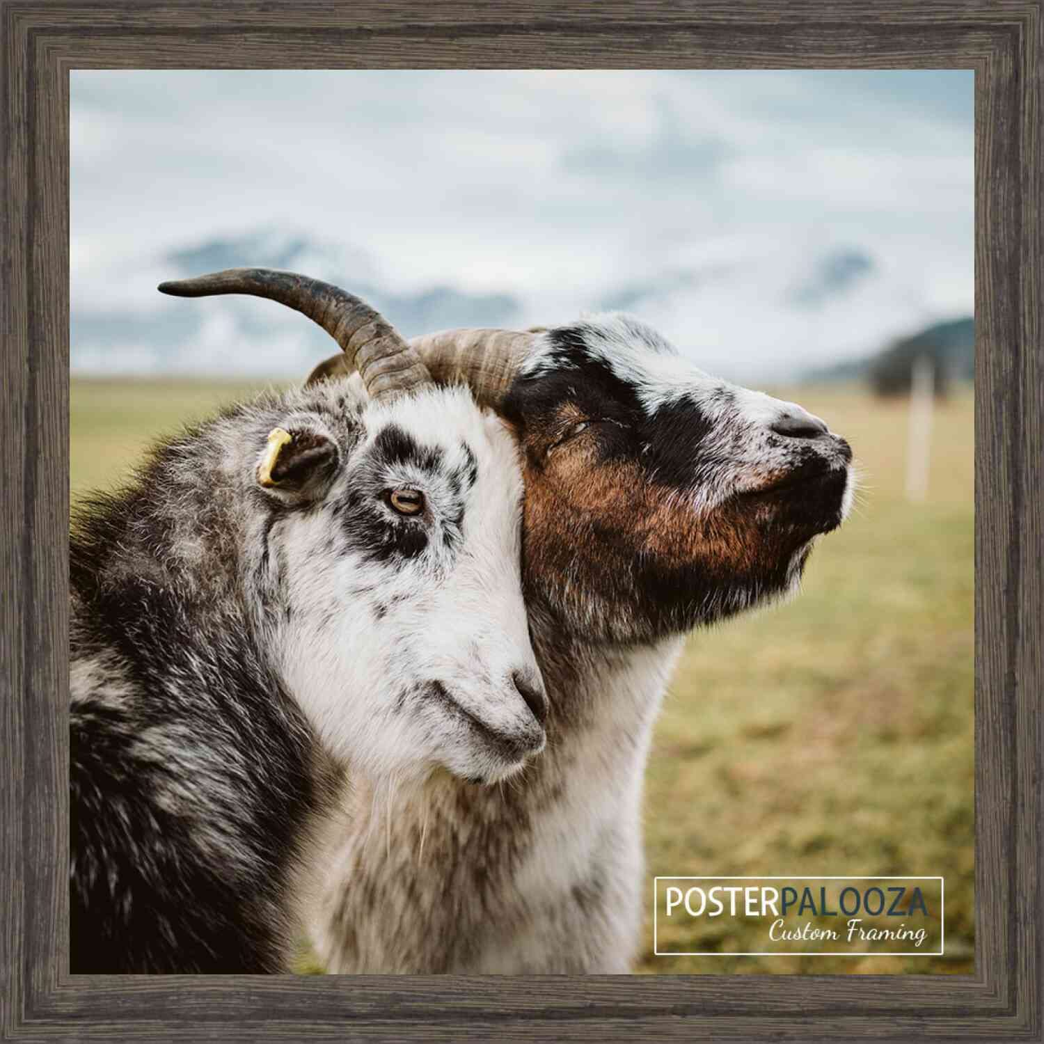 50x50cm Dark Wood Rustic Picture Frame - Solid Wooden Photo Frame with UV Acrylic, Foam Board Backing & Hanging Hardware - Perfect for Wall Decor, Gallery Displays & Home Office Art
