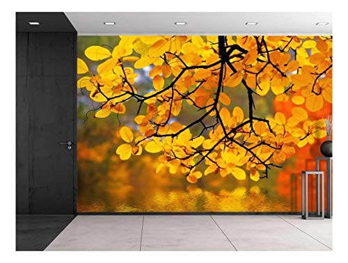 Yellow Branch Trees