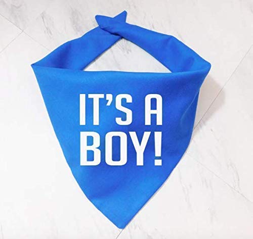 It's A Boy! Blue Dog Bandana - Adorable Pet Bandana for Puppies & Small Dogs - Perfect for Birthdays, Parties & Photo Shoots