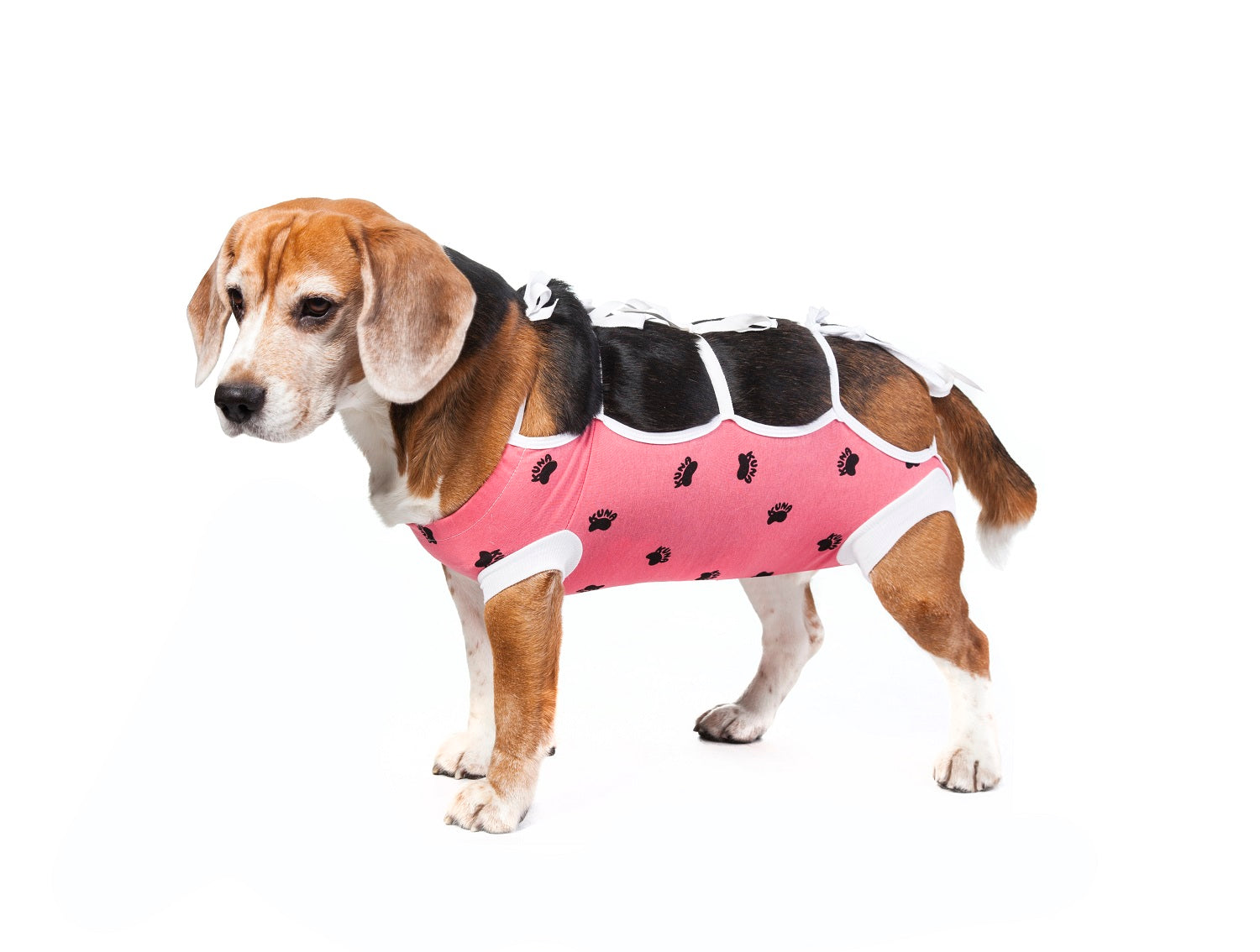 VetMedWear Recovery Gown for Cats, Dogs & Rabbits - Soft Post-Surgery Protective Suit | Comfortable E Collar Alternative for Wound Healing, Spay/Neuter Recovery & Pet Care at Home