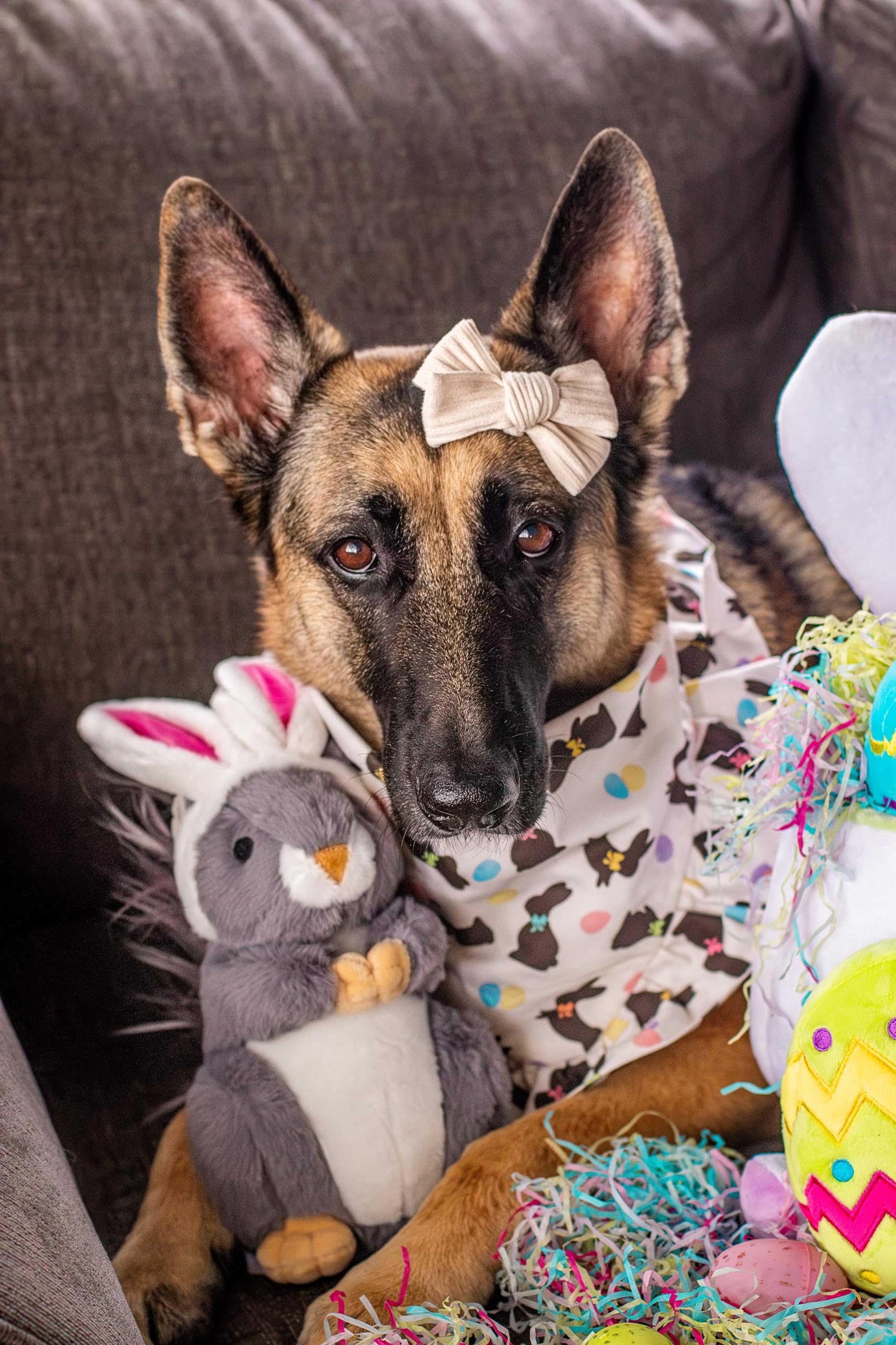 Midlee Easter Squirrel Bunny Plush Large Dog Toy - Soft & Durable Chew Toy for Big Dogs - Perfect for Easter Gifts, Playtime & Training (Brown)