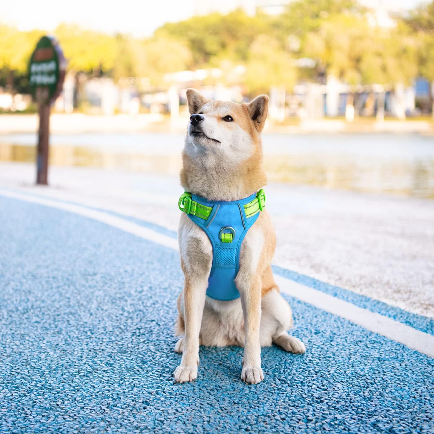 PHOEPET No Pull Dog Harness - Reflective Adjustable Pet Vest with Soft Training Handle & Metal Clips for Small Medium Large Dogs (Blue/Green, Medium) | Perfect for Walking, Running, Training & Outdoor Adventures