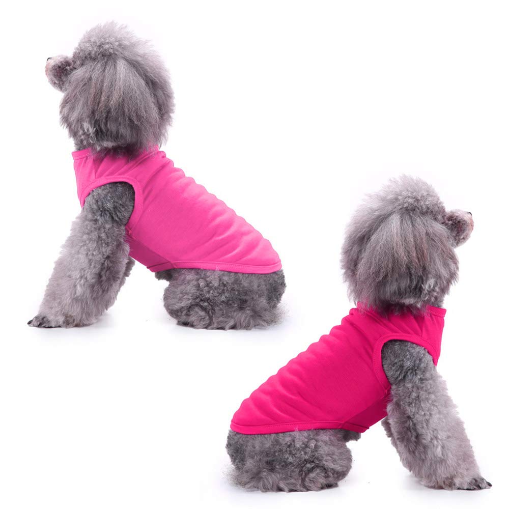 Chol&Vivi 4-Pack Blank Dog T-Shirts for Extra Small, Small, Medium, Large & XL Puppies - Soft Cotton Pet Clothes for Daily Wear, Grooming, Photos & Special Occasions