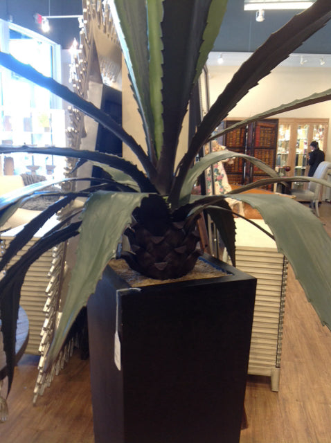 8 Inch Aloe Vera Plant in Black Ceramic Planter - Perfect for Home Decor, Office Desk, and Indoor Gardening Gifts