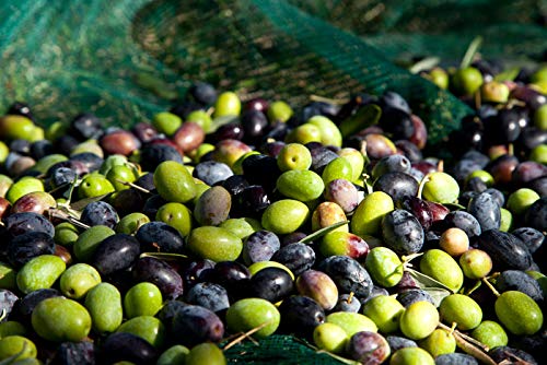 Premium Clemente Ulisse Extra Virgin Olive Oil - Cold Extracted, Non-GMO, 101 Fl Oz (3L) Twin Pack - Perfect for Cooking, Salads & Healthy Recipes