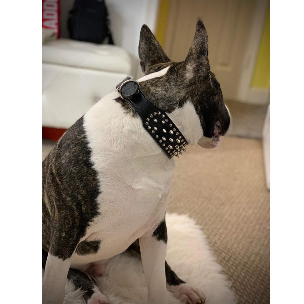 Spiked Studded Leather Dog Collar for Pitbulls - Heavy Duty Adjustable Pet Collar for Medium & Large Dogs - Perfect for Training, Walking & Outdoor Adventures