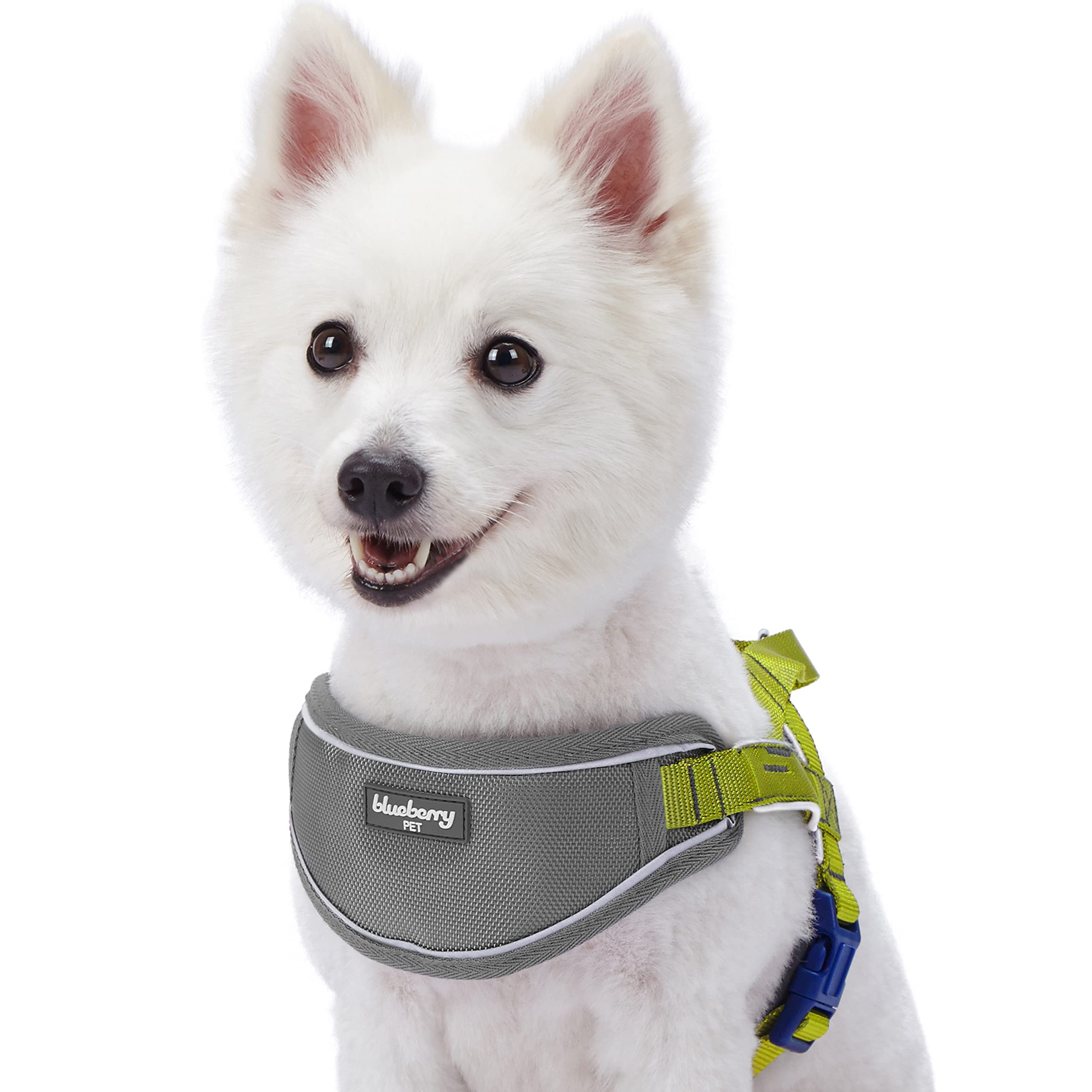 Blueberry Pet 8-Color Reflective Dog Harness with 3M Strips - Soft Neoprene & Nylon Padded Vest for Medium & Large Dogs - Adjustable Training & Walking Harness (Citrus Lime) - Perfect for Outdoor Adventures, Daily Walks & Pet Training Sessions
