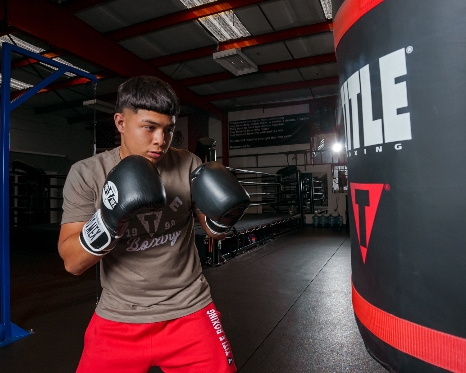 Pro Mex Professional Training Boxing Gloves 3.0 - Premium Leather Punching Mitts for MMA, Kickboxing & Fitness Training - Ideal for Gym, Home Workouts & Sparring Sessions