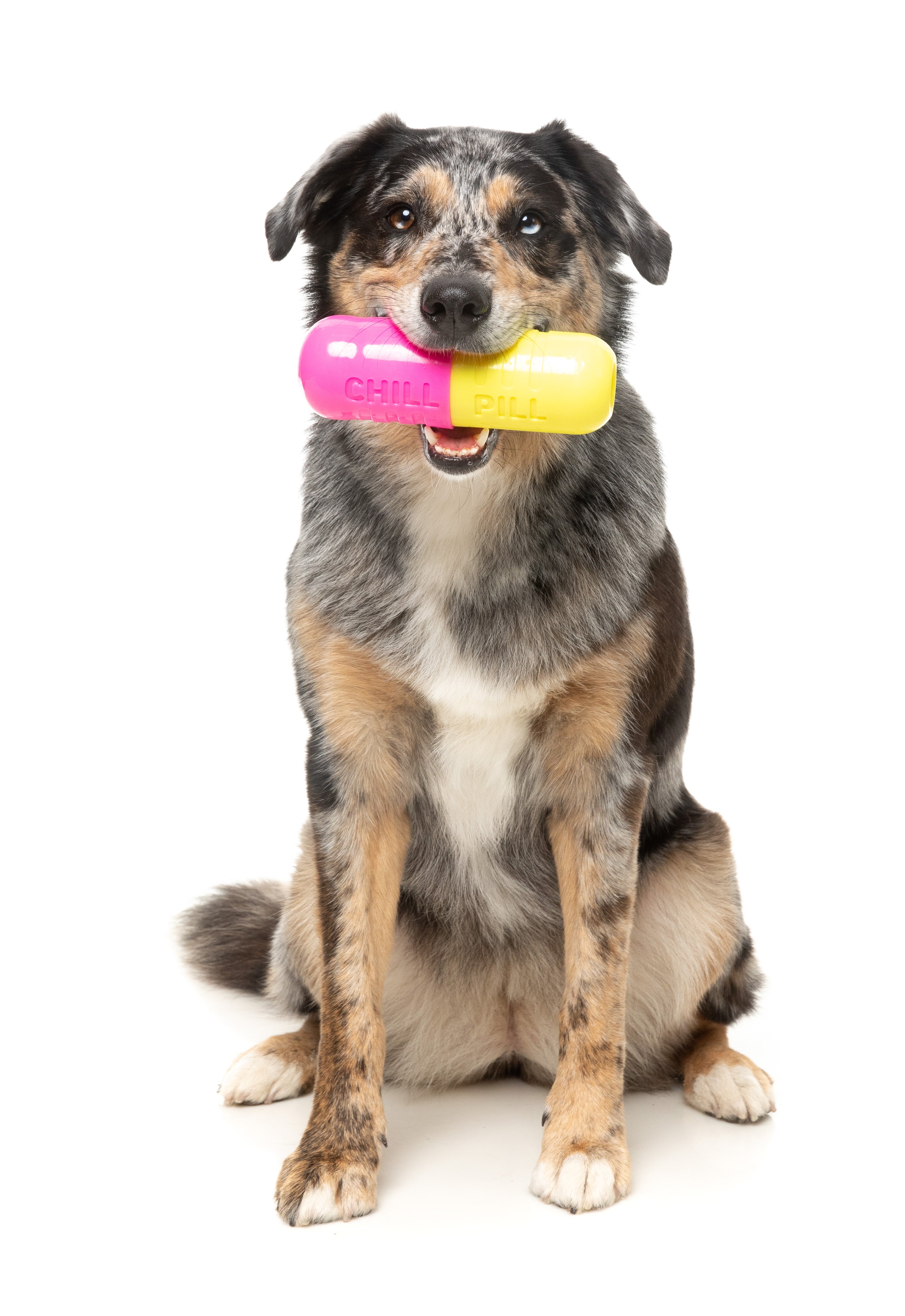 Interactive Dog Chew Toy with Treat Dispenser - Fuzzyard Chill Pill for Boredom & Anxiety Relief - Perfect for Training, Teething & Playtime