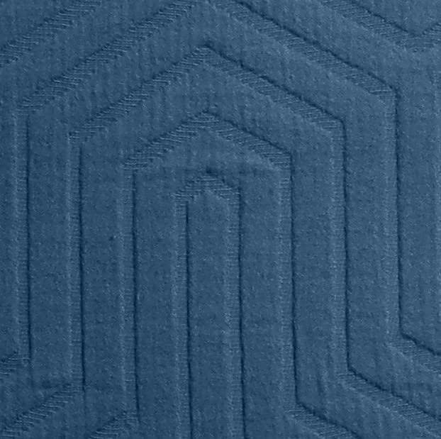 Folkstone Blue Aster
