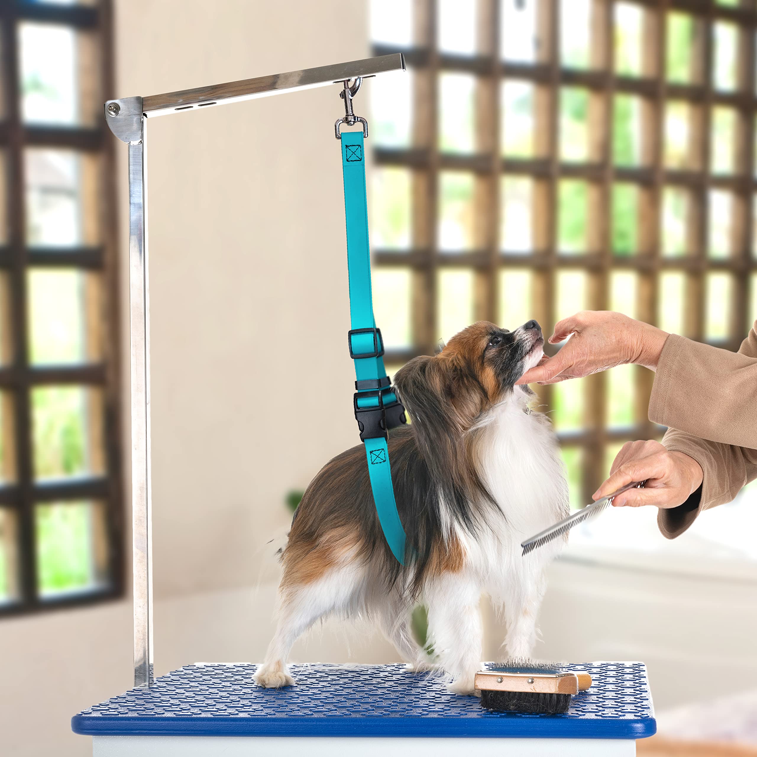 Waterproof Jelly Pet Dog Belly Loop Restraint for Grooming Table & Bath Tub - Easy Clean, Durable & Made in USA - Perfect for Professional Pet Grooming, Bathing & Vet Visits (Teal)