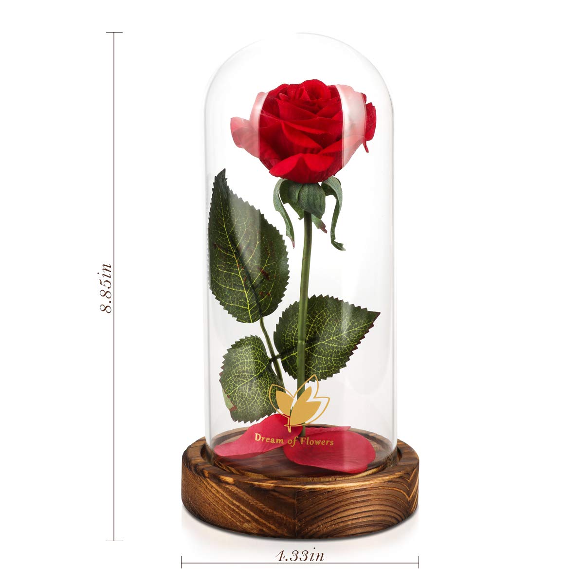 Beauty and The Beast Rose in Glass Dome - Artificial Red Rose Flower Gift for Her, Valentine's Day, Birthday, Anniversary & Wedding - Lasts Forever - Perfect Romantic Home Decor & Gift Idea
