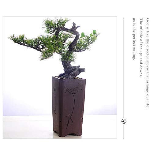 Realistic Artificial Bonsai Tree - Japanese Pine Fake Plant for Home & Office Decor, Desktop Display Potted Houseplant - Perfect for Living Room, Bedroom, Office Desk & Gift Giving
